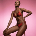 Triangle Top & Tie-Side Bikini Bottom / Red Queen